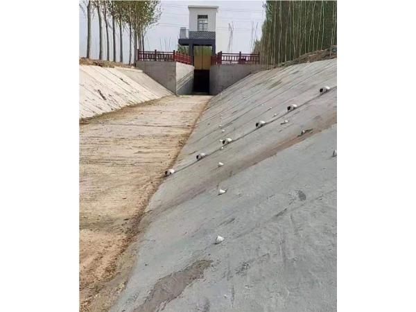 十二生肖今晚开奖结果